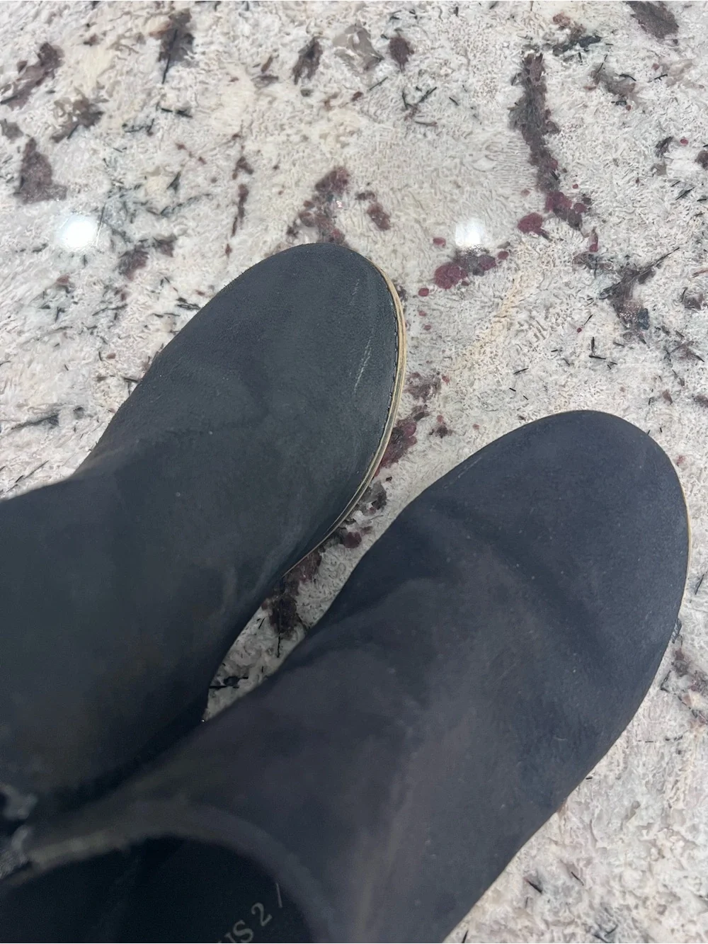 Black Women's Ankle Boots - Classic Zip-Front